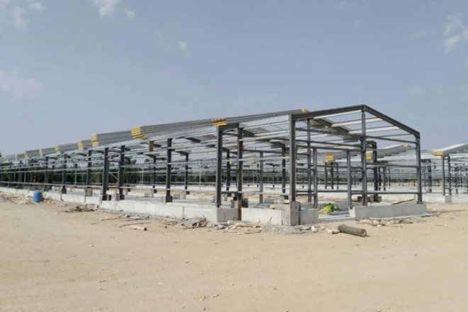 Steel Structure Chicken House