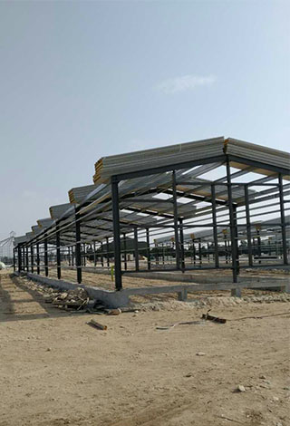 _0009_Steel structure chicken house - 8